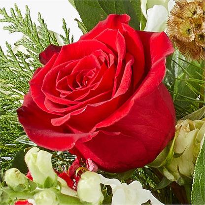 Deck the Halls Bouquet –  Kroger, Cincinnati OH