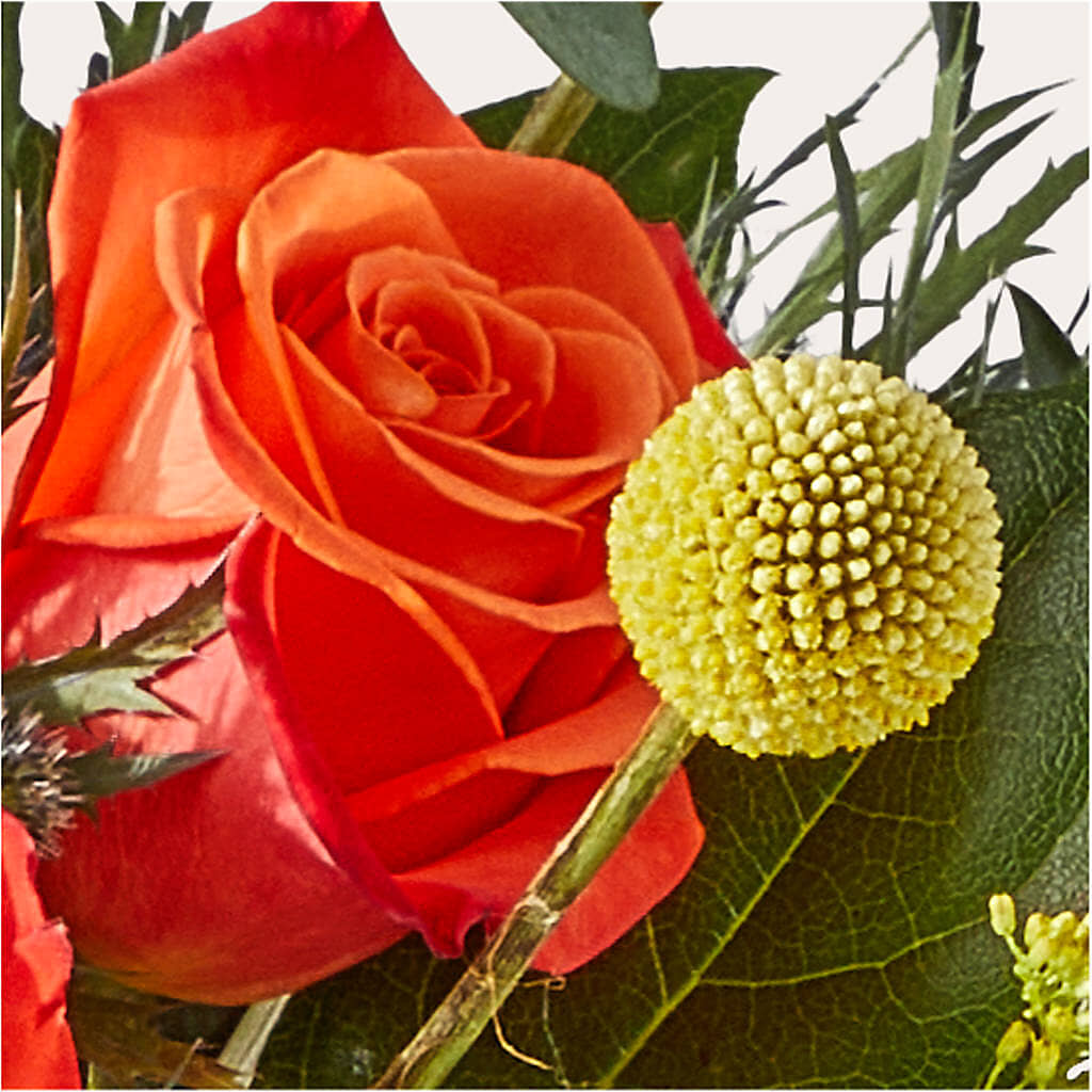 Disco Bouquet –  Kroger, Cincinnati OH