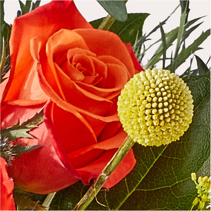 Disco Bouquet –  Kroger, Cincinnati OH