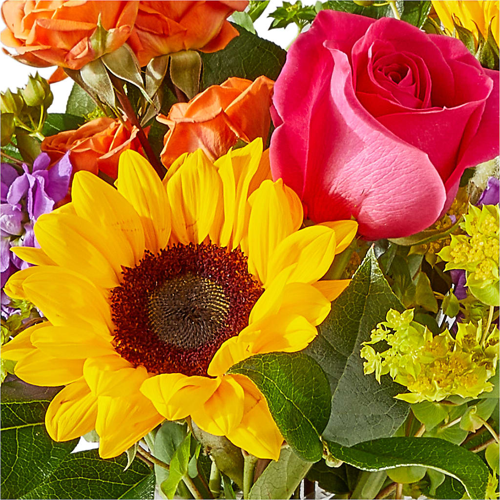 Vibrant Greetings Bouquet –  Kroger, Cincinnati OH