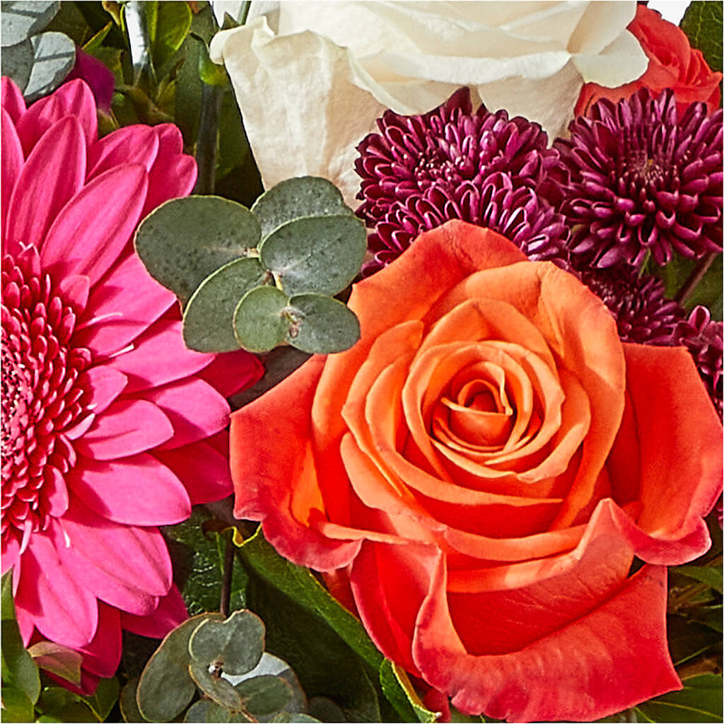 Smell the Roses Bouquet –  Kroger, Cincinnati OH