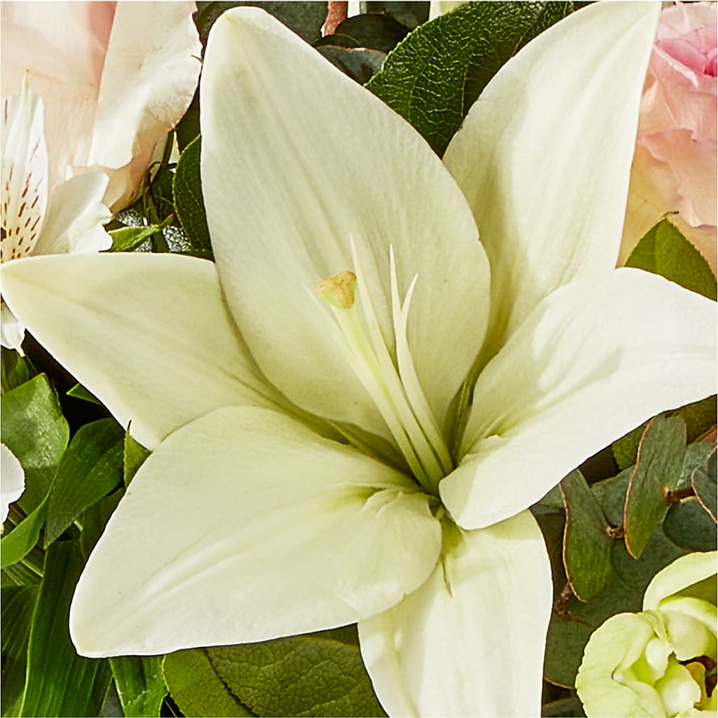 Ballet Slippers Bouquet –  Kroger, Cincinnati OH
