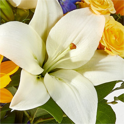 Wonderfully Sunny Bouquet –  Kroger, Cincinnati OH