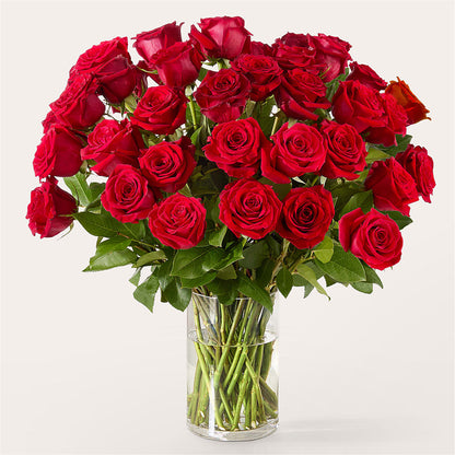 The One Red Rose Bouquet –  Kroger, Cincinnati OH