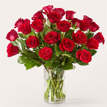 The One Red Rose Bouquet –  Kroger, Cincinnati OH