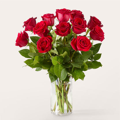 The One Red Rose Bouquet –  Kroger, Cincinnati OH