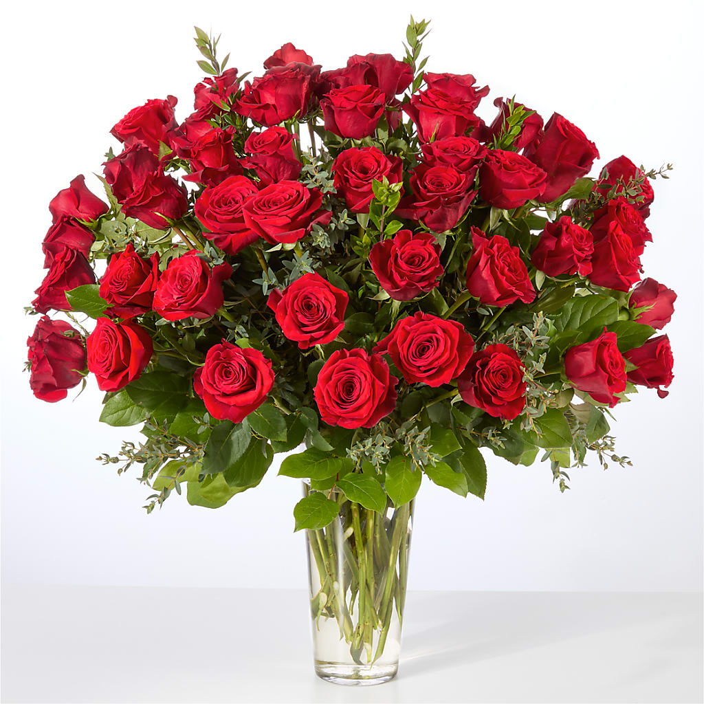 Forever Yours Fifty Stem Red Rose Bouquet –  Kroger, Cincinnati OH