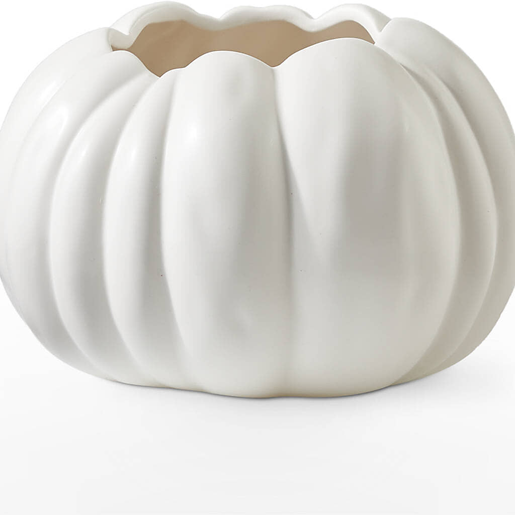 Pumpkin to Talk About Bouquet –  Kroger, Cincinnati OH